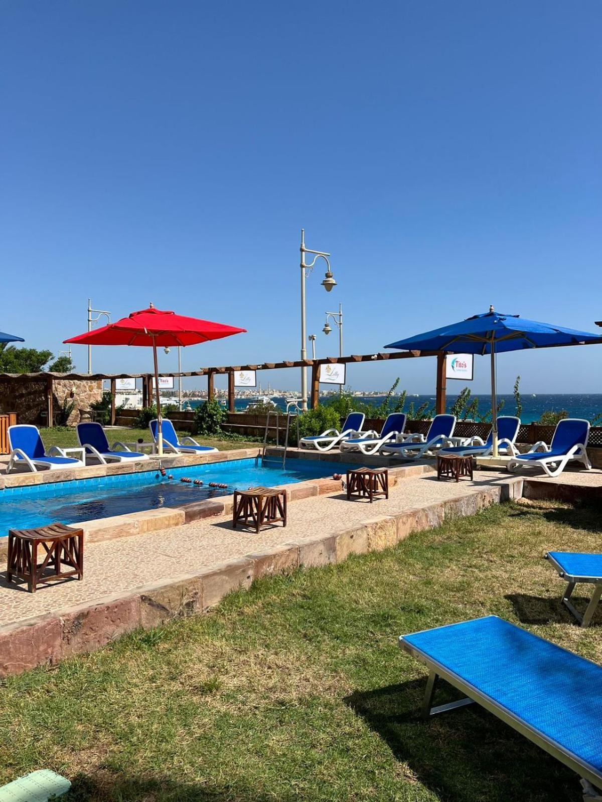 Serafy Center And Pool For Foreigners Adults Only Hostel Hurghada